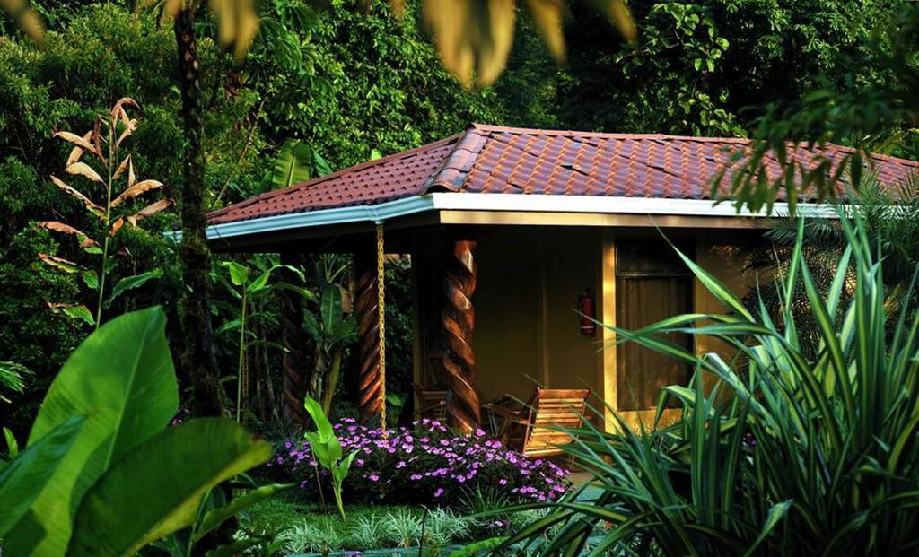 ביחגואה Hotel Catarata Rio Celeste חדר תמונה