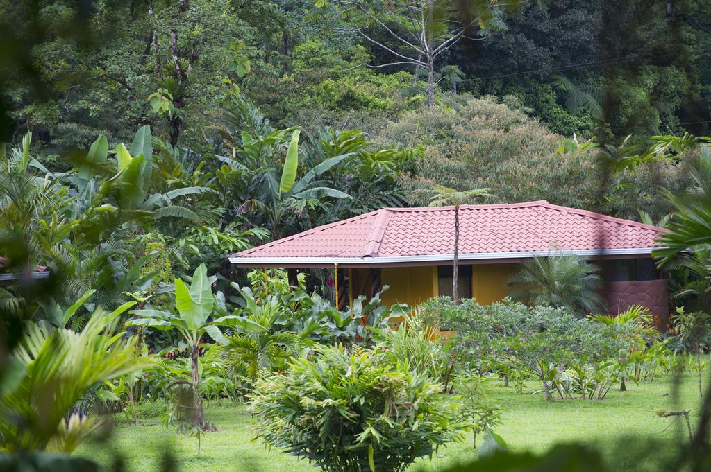 ביחגואה Hotel Catarata Rio Celeste מראה חיצוני תמונה