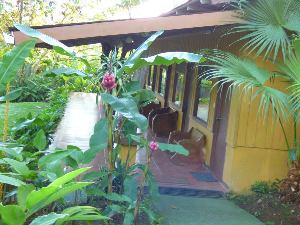 ביחגואה Hotel Catarata Rio Celeste מראה חיצוני תמונה