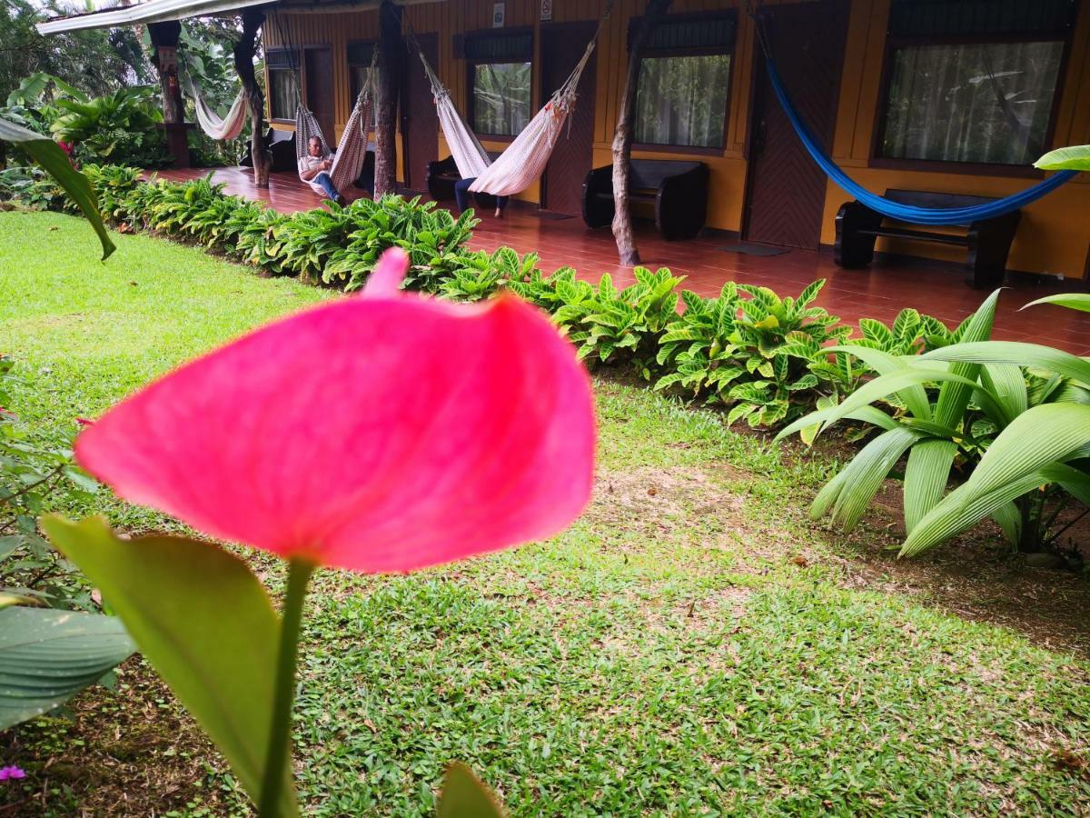 ביחגואה Hotel Catarata Rio Celeste מראה חיצוני תמונה