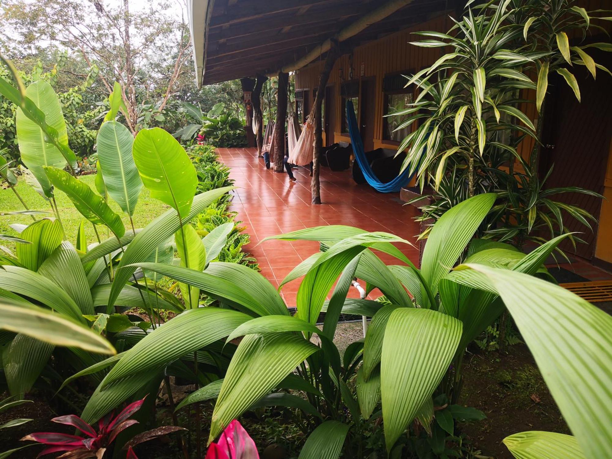 ביחגואה Hotel Catarata Rio Celeste מראה חיצוני תמונה